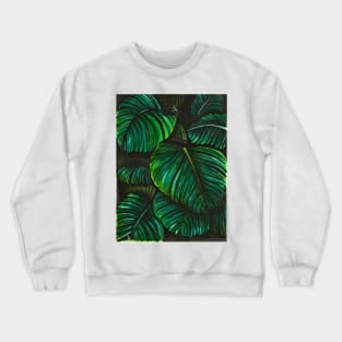 Bring in the Tropicals Crewneck Sweatshirt